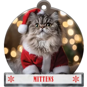 Christmas cat in Santa suit snow globe-shaped acrylic ornament with blurred lights background