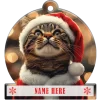 Tabby