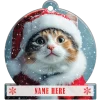 Calico
