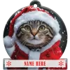 Tabby