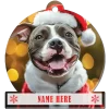 American Bully