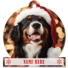 Bernese Mountain Dog