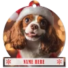Cavalier King Charles Spaniel