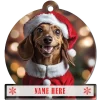 Dachshund