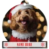Golden Doodle
