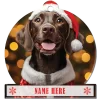 German Shorthair Pointer