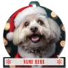 Havanese