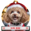 Poodle