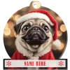 Pug