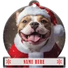 American Bully