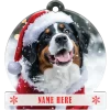 Bernese Mountain Dog