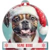 Boxer