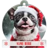 Boston Terrier
