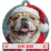 Bulldog