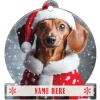 Dachshund