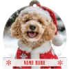 Golden Doodle