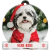 Havanese