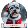 Miniature Schnauzer