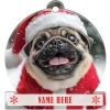 Pug