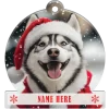 Siberian Husky