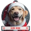 Yellow Labrador Retriever
