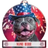 American Bully