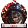 Pug